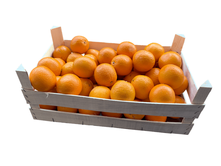 Saftorangen 15 kg