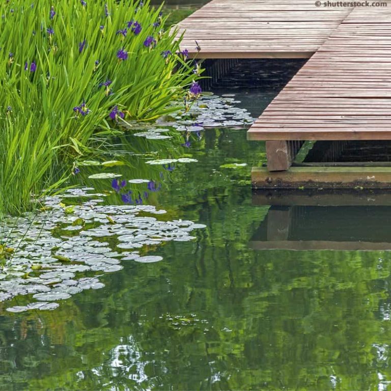 Garten- und Landschaftsbau in der Nordheide