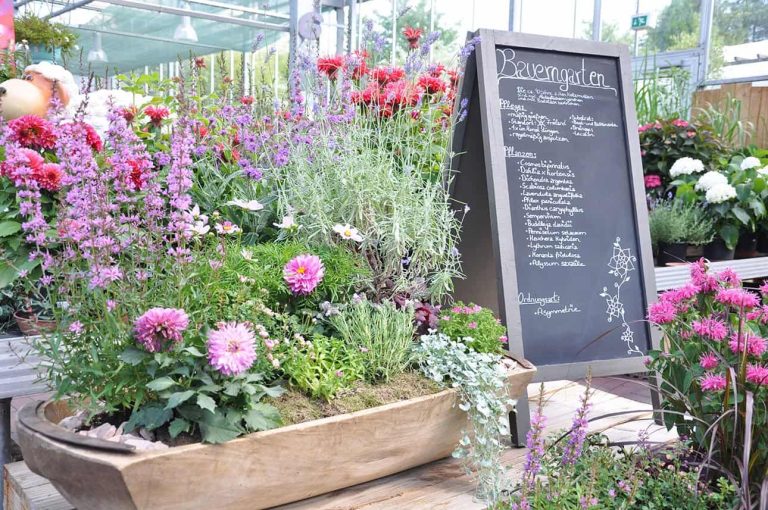 Bauerngarten angelegt im Futtertrog