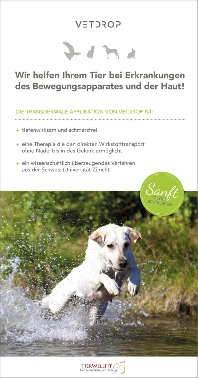 Tierwellfit Sanfte Therapie & Heilung für Hunde Katzen Heimtiere