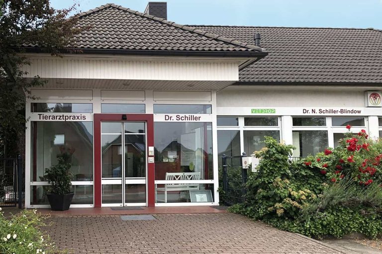 Tierwellfit Sanfte Therapie & Heilung für Hunde Katzen Heimtiere